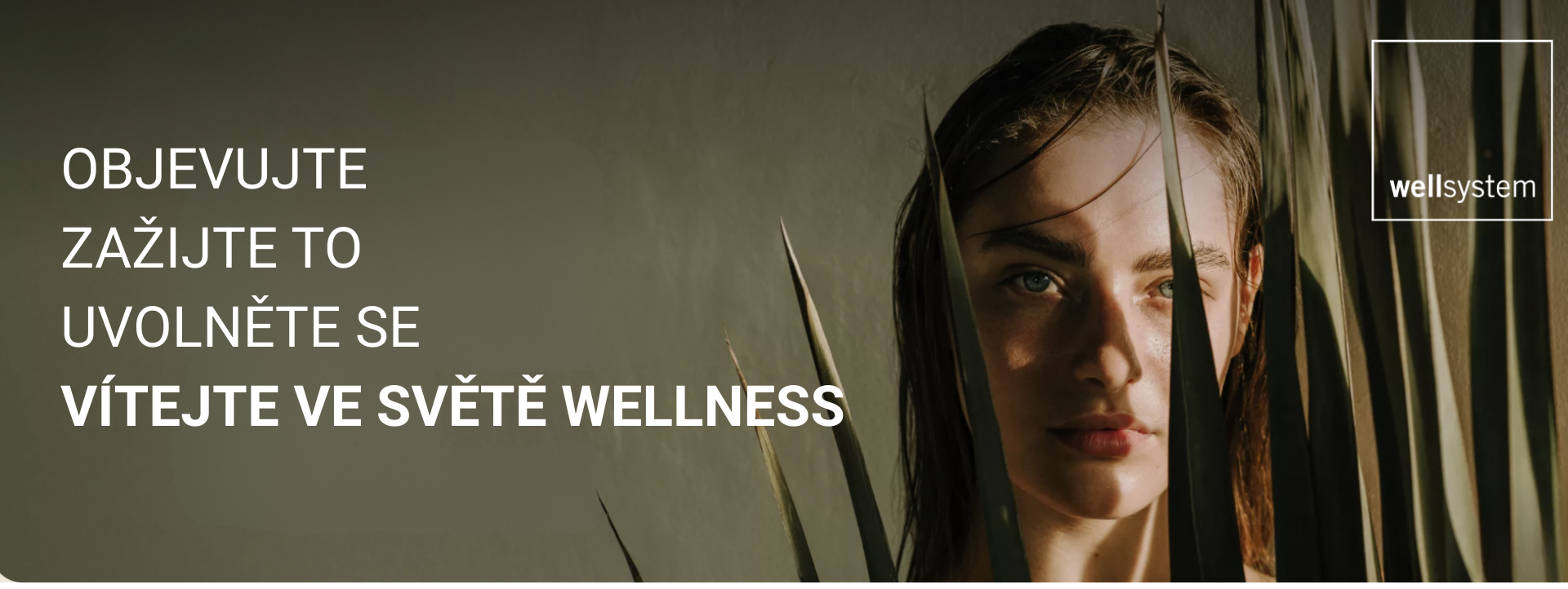 WELLNESS 1